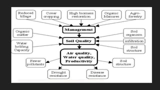 EFFECT OF SOIL MANAGEMENT PRACTICES ON SOIL ENVIROMENT.pptx
