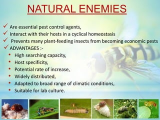 Effect of sub lethal doses of insecticides on natural enemies of crop ...