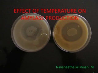 EFFECT OF TEMPERATURE ON
AMYLASE PRODUCTION
Navaneetha krishnan. M
.
 