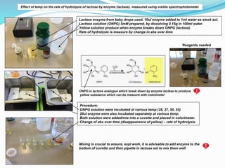 Effect of temp on the rate of hydrolysis of lactose by enzyme (lactase), measured using visible spectrophotometer.
Lactase...