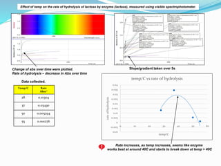 Rate increases, as temp increases, seems like enzyme
works best at around 40C and starts to break down at temp > 40C
-0.01...