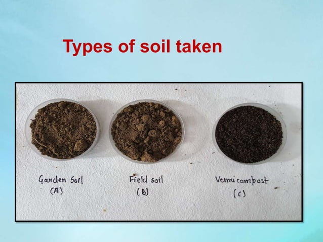 Effect Of Two Soil Types On Plant Growth