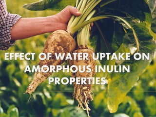 EFFECT OF WATER UPTAKE ON
AMORPHOUS INULIN
PROPERTIES
 
