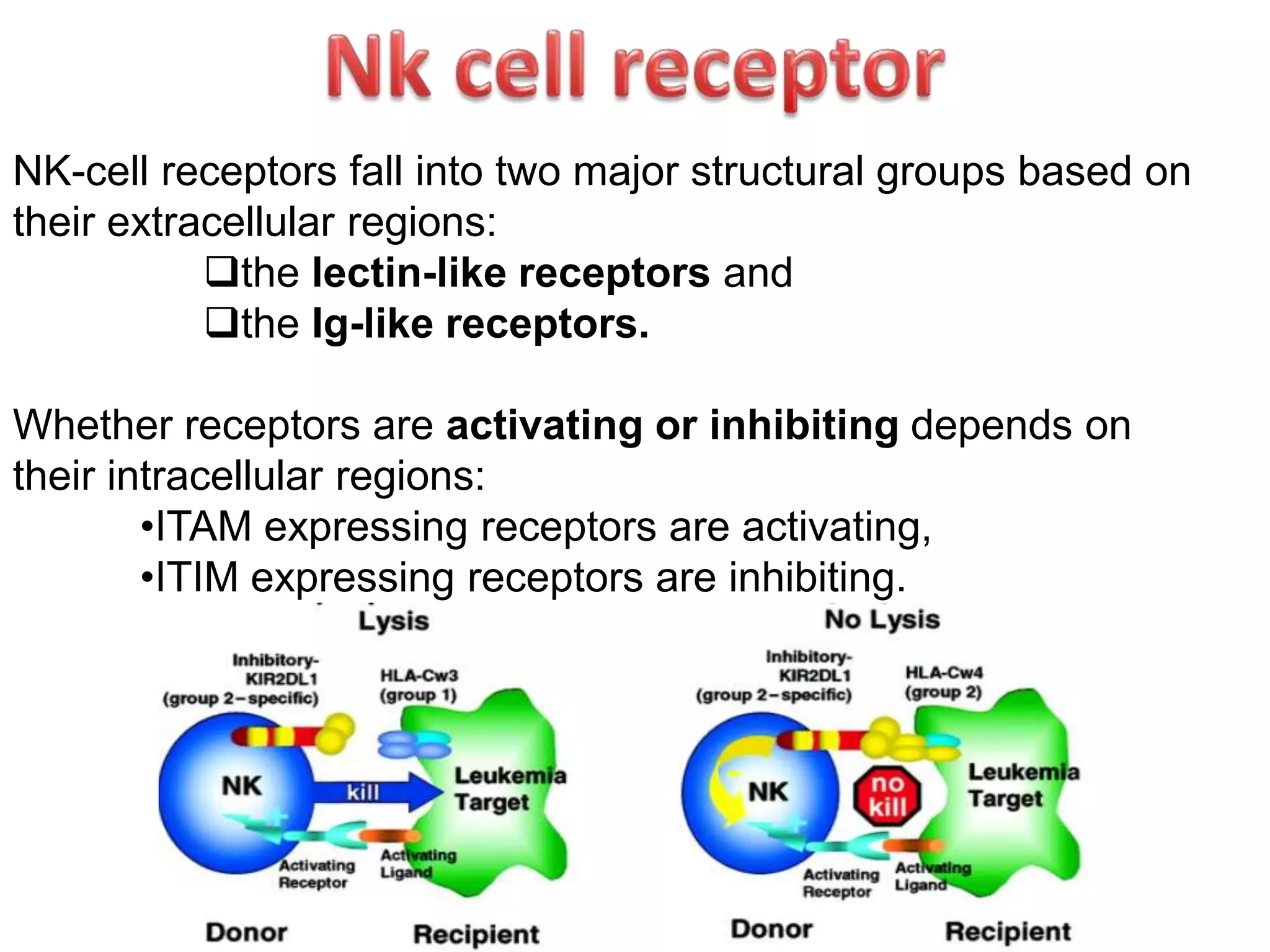 Effector functions of immune system | PPTX