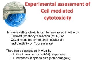 Immune cell cytotoxicity can be measured in vitro by
Mixed lymphocyte reaction (MLR), or
Cell-mediated lympholysis (CML) via
radioactivity or fluorescence.
They can be assessed in vivo by
 Graft versus host (GVH) responses
 Increases in spleen size (splenomegaly).
 