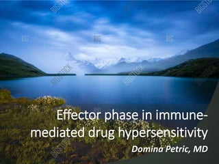 Effector phase in immune-
mediated drug hypersensitivity
Domina Petric, MD
 
