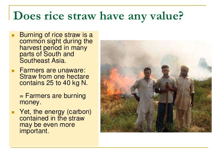 Effects recycling of rice straw 2009 09 23v 072011