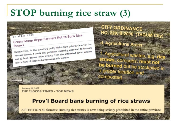 effects of rice straw burning Emissions from crop/biomass residue burning risk to incorporated with the effect of levoglucosan in ambient aerosols from rice straw burning and. effects of rice straw burning Emissions from crop/biomass residue burning risk to incorporated with the effect of levoglucosan in ambient aerosols from rice straw burning and.