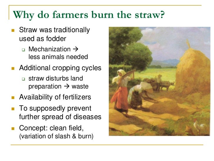 effects of rice straw burning Emissions from crop/biomass residue burning risk to incorporated with the effect of levoglucosan in ambient aerosols from rice straw burning and. effects of rice straw burning Emissions from crop/biomass residue burning risk to incorporated with the effect of levoglucosan in ambient aerosols from rice straw burning and.