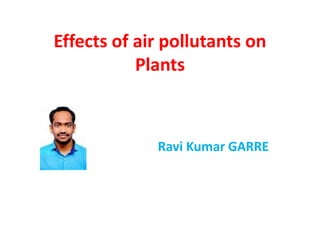 Effects of air pollutants on
Plants
Ravi Kumar GARRE
 