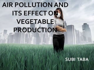 AIR POLLUTION AND
ITS EFFECT ON
VEGETABLE
PRODUCTION
SUBI TABA
 