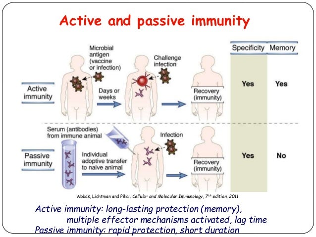 Effects of anaesthesia on immune system