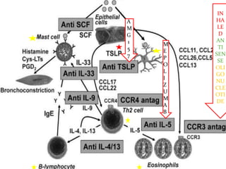 Effects of an anti tslp antibody on allergen-induced asthmatic | PPTX