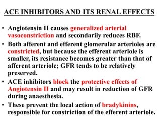 ACE INHIBITORS AND ITS RENAL EFFECTS
• Angiotensin II causes generalized arterial
vasoconstriction and secondarily reduces RBF.
• Both afferent and efferent glomerular arterioles are
constricted, but because the efferent arteriole is
smaller, its resistance becomes greater than that of
afferent arteriole; GFR tends to be relatively
preserved.
• ACE inhibitors block the protective effects of
Angiotensin II and may result in reduction of GFR
during anaesthesia.
• These prevent the local action of bradykinins,
responsible for constriction of the efferent arteriole.
 