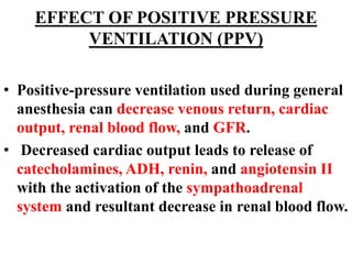 EFFECT OF POSITIVE PRESSURE
VENTILATION (PPV)
• Positive-pressure ventilation used during general
anesthesia can decrease venous return, cardiac
output, renal blood flow, and GFR.
• Decreased cardiac output leads to release of
catecholamines, ADH, renin, and angiotensin II
with the activation of the sympathoadrenal
system and resultant decrease in renal blood flow.
 
