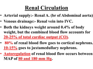 Renal Circulation
• Arterial supply:- Renal A. (br of Abdominal aorta)
• Venous drainage:- Renal vein into IVC.
• Both the kidneys weight around 0.4% of body
weight, but the combined blood flow accounts for
20-25% of total cardiac output (CO).
• 80% of renal blood flow goes to cortical nephrons.
10-15% goes to juxtamedullary nephrons.
• Autoregulation of renal blood flow occurs between
MAP of 80 and 180 mm Hg.
 