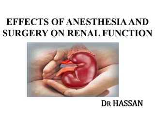 EFFECTS OF ANESTHESIAAND
SURGERY ON RENAL FUNCTION
DR HASSAN
 