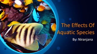 The Effects Of
Aquatic Species
By: Niranjana
 