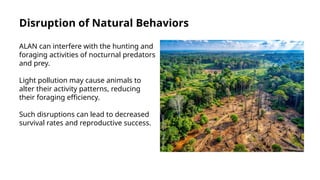 Effects Of Artificial Light At Night On Nocturnal Wildlife Species.pptx