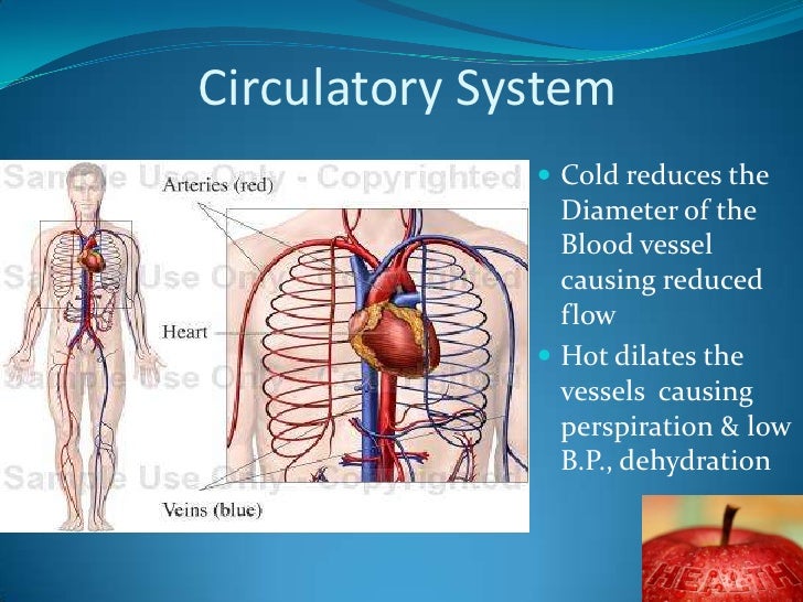 Effects of climate Changes on Human Health diagram of vomiting 