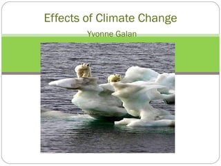 Effects of Climate Change   Yvonne Galan 