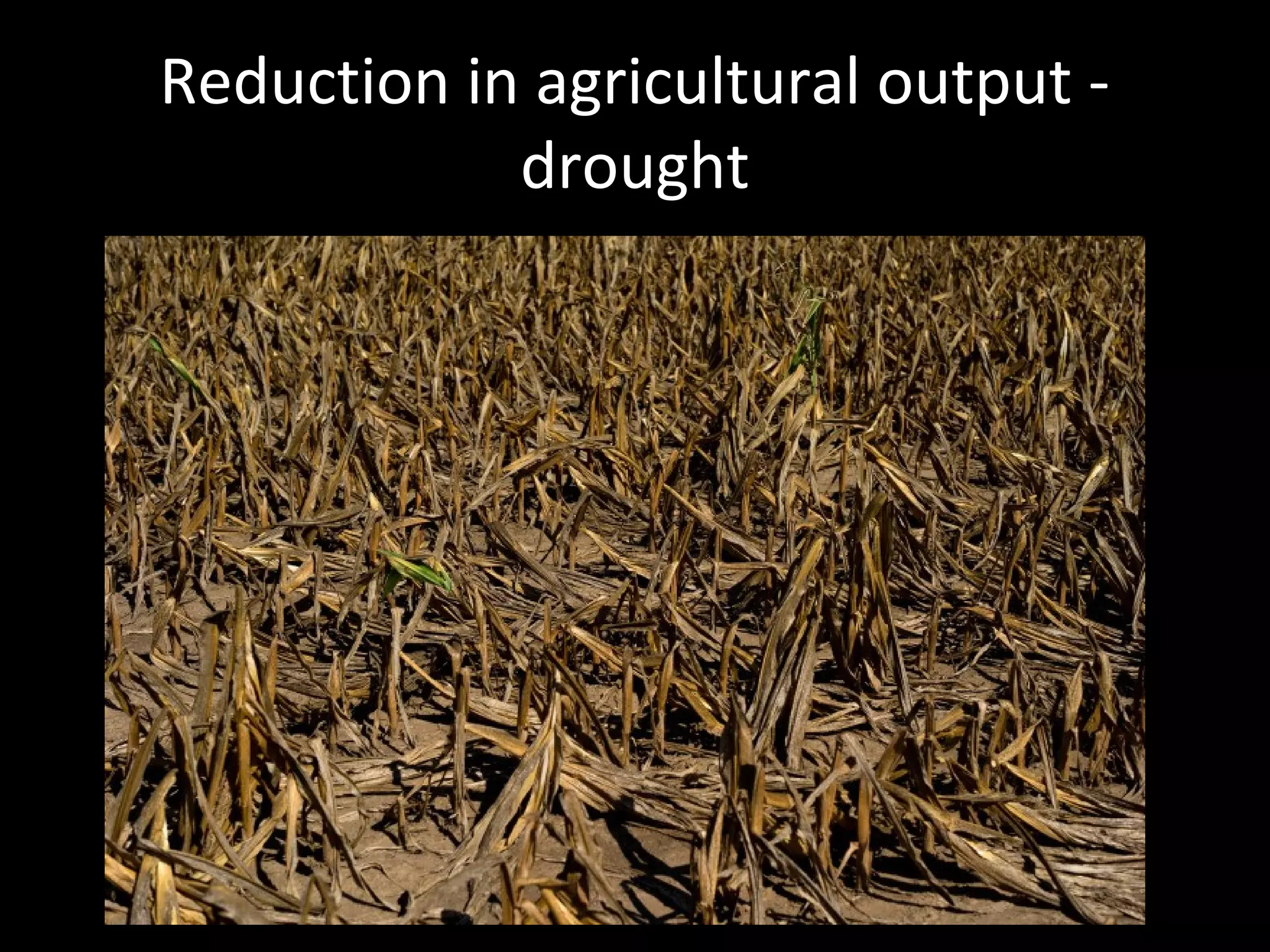 Reduction in agricultural output -
drought
 