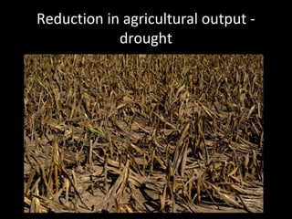 Reduction in agricultural output -
drought
 