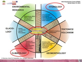 Effects of climate change and deforestation on potential of carbon ...