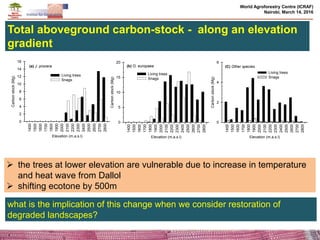 Effects of climate change and deforestation on potential of carbon ...