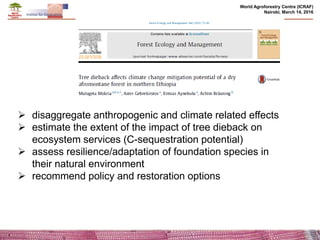Effects of climate change and deforestation on potential of carbon sequestration and its implication in forest landscape restoration