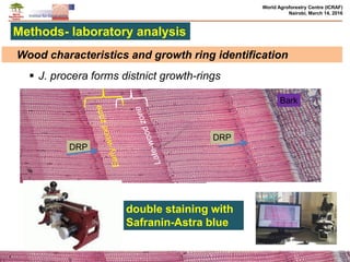 Effects of climate change and deforestation on potential of carbon sequestration and its implication in forest landscape restoration