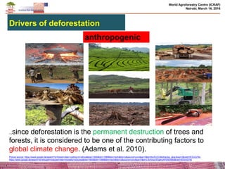 Effects of climate change and deforestation on potential of carbon sequestration and its implication in forest landscape restoration