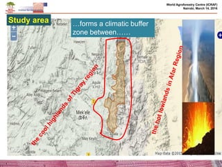 Effects of climate change and deforestation on potential of carbon sequestration and its implication in forest landscape restoration