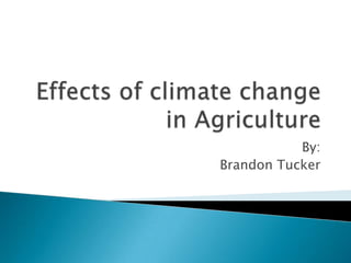Effects of climate change in Agriculture By: Brandon Tucker 