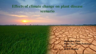 Shamsher Alam
Ph.D (Ag.) Plant Pathology
1st year
IGKV, Raipur
Effects of climate change on plant disease
scenario
 