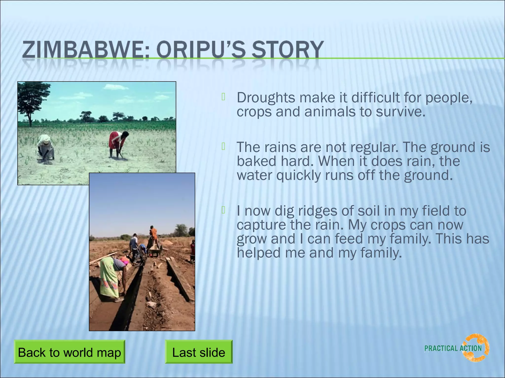    Droughts make it difficult for people,
                                 crops and animals to survive.

                                The rains are not regular. The ground is
                                 baked hard. When it does rain, the
                                 water quickly runs off the ground.

                                I now dig ridges of soil in my field to
                                 capture the rain. My crops can now
                                 grow and I can feed my family. This has
                                 helped me and my family.




Back to world map   Last slide
 