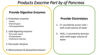 Effects of deficiency of exocrine pancreatic secretion