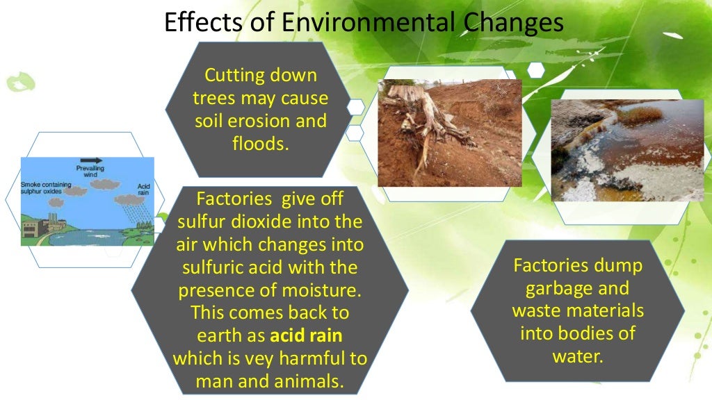 Effects of environmental changes