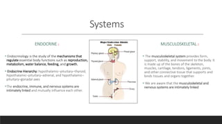 Effects of Estrogen on Female Muscle and Tendon | PPTX