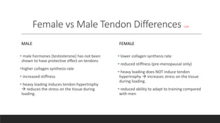 Effects of Estrogen on Female Muscle and Tendon | PPTX