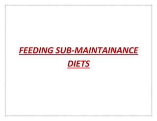 Effects of feeding regiments on meat qualit1 (1)