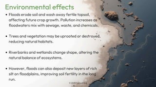 Effects of Floods on People and Communities | PDF