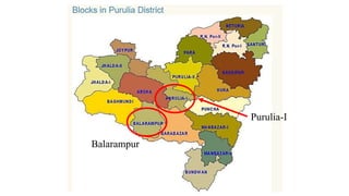 West Bengal
Purulia
Balarampur
Purulia-I
 