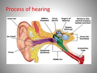 Process of hearing
 