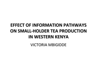 EFFECT OF INFORMATION PATHWAYS
ON SMALL-HOLDER TEA PRODUCTION
        IN WESTERN KENYA
       VICTORIA MBIGIDDE
 
