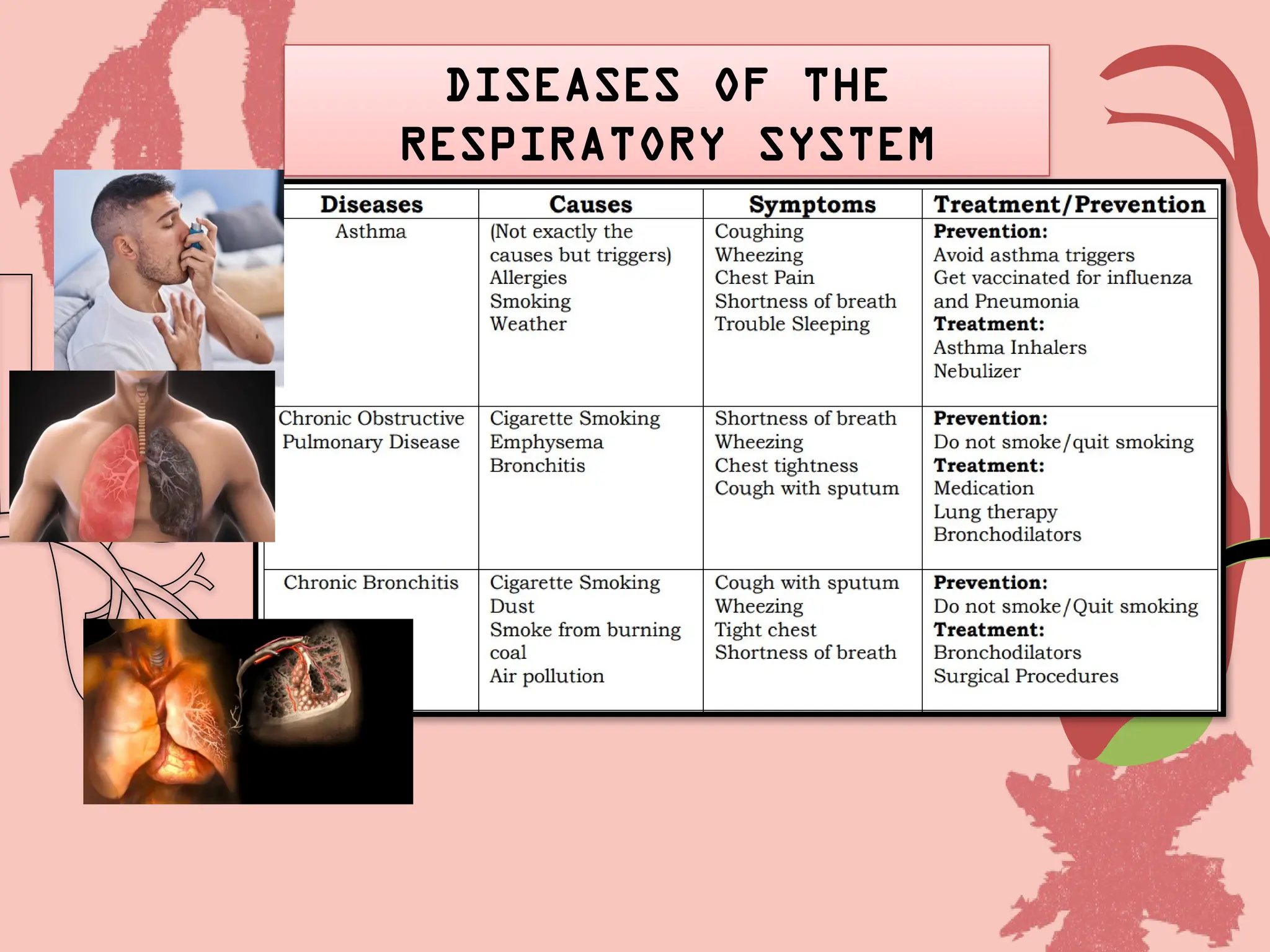Effects of Lifestyle in the Circulatory and Respiratory System.pptx