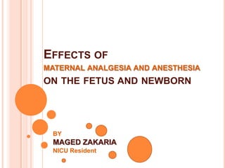 Effects ofmaternal analgesia and anesthesia on the fetus and newborn BY MAGED ZAKARIA NICU Resident 