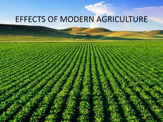 EFFECTS OF MODERN AGRICULTURE
 