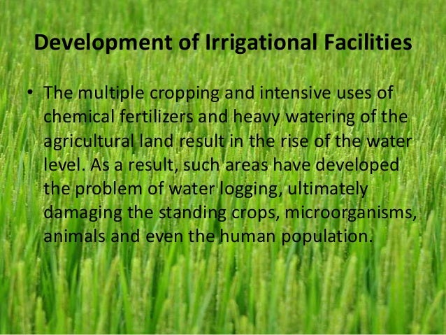 Effects Of Modern Agriculture effects-of-modern-agriculture