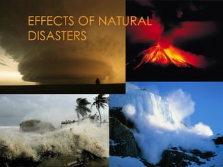 EFFECTS OF NATURAL
DISASTERS
 